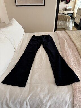 Frame Denim Le Mini Boot Navy Blue Corduroy Pants (Size 31)